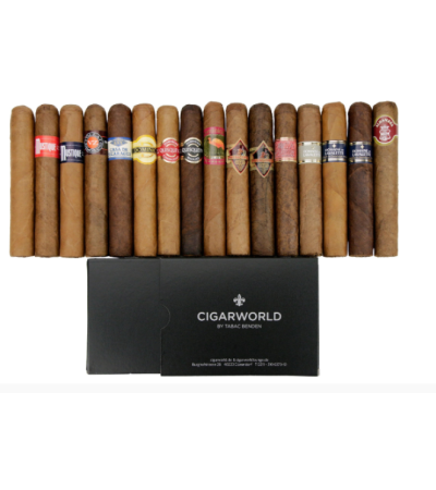 CIGARWORLD Tasting Sampler Budget (16 Zigarren)